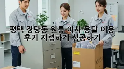 평택 장당동 원룸 이사, 용달 이용 후기: 저렴하게 성공하기!