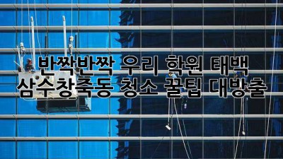✨ 반짝반짝 우리 학원! 태백 삼수/창죽동 청소 꿀팁 대방출 🧹
